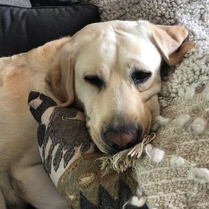 Meet your Posher, Jaclyn